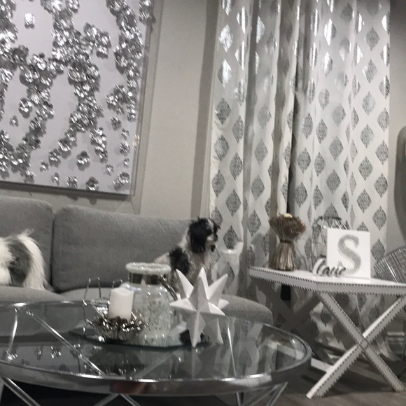 Meet your Posher, Maddie - Picture 1 of 1